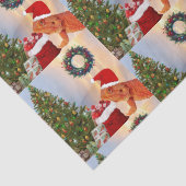 Beardie-Claus - Bartded Dragon Santa Seidenpapier (Detail)