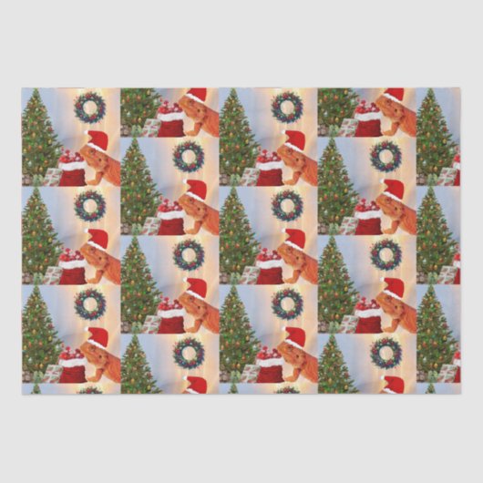 Beardie-Claus - Bartded Dragon Santa Seidenpapier (Vorderseite)