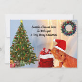 Beardie-Claus - Bartierter Drache (Vorderseite)