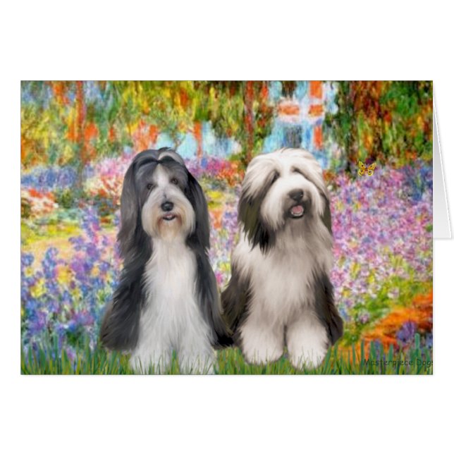 Beardie Pair 2 - Garten (Vorderseite (Horizontal))