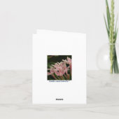 Beardsley Nouveau Peacock Note Card Karte (Rückseite)