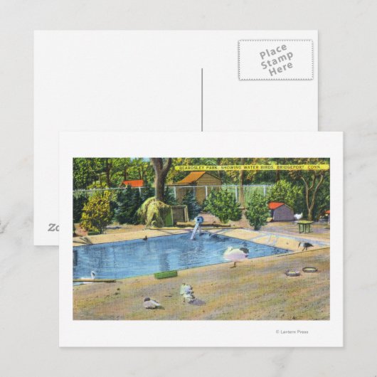 Beardsley Park Sicht auf Wasservögel Postkarte (Vorne/Hinten)