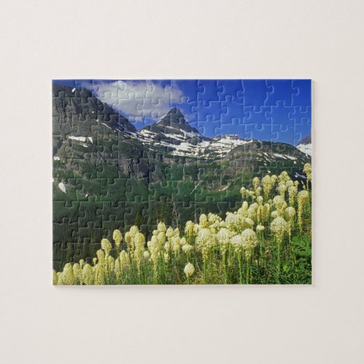 Beargras am Logan Pass im Gletscher-Nationalpark Puzzle (Horizontal)