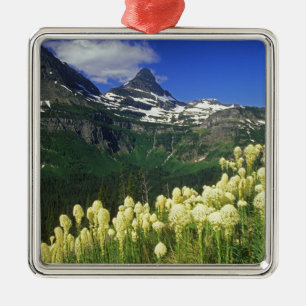 Beargras am Logan Pass im Gletscher-Nationalpark Silbernes Ornament