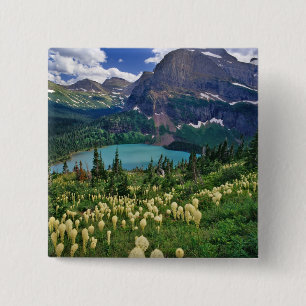 Beargras über dem Grinnellsee im Val Grande Button