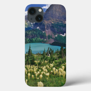 Beargras über dem Grinnellsee im Val Grande iPhone 13 Hülle