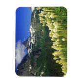 Beargrass am Logan Pass - Gletscher Nationalpark Magnet (Vertikal)