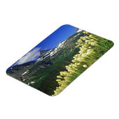 Beargrass am Logan Pass - Gletscher Nationalpark Magnet (Linke Seite)