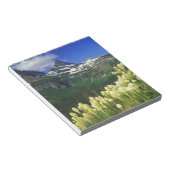 Beargrass am Logan Pass - Gletscher Nationalpark Notizblock (angewinkelt)