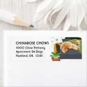 BEARLY AWAKE CHOW - Rücksendeadressen-Aufklebers C (Insitu)