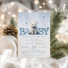 Bearly Wait Winter Modern Baby Dusche