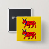 Bearn, Frankreich-Flagge Button (Vorne & Hinten)