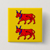 Bearn, Frankreich-Flagge Button (Vorderseite)