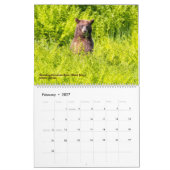 BEARS - Belinda Greb Fotografy Kalender (Feb 2027)