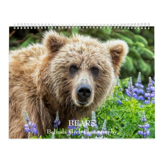 BEARS - Belinda Greb Fotografy Kalender (Titelbild)