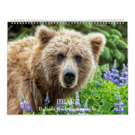 BEARS - Belinda Greb Fotografy Kalender