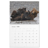 BEARS - Belinda Greb Fotografy Kalender (Jan 2026)