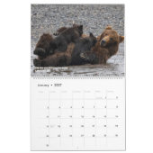 BEARS - Belinda Greb Fotografy Kalender (Jan 2027)
