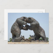 Bears - Dundee, Michigan Postkarte (Vorne/Hinten)