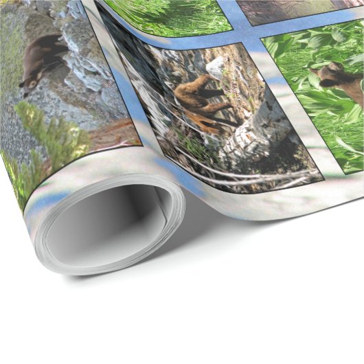 Bears Wrapping Paper Geschenkpapier (Rolleneckpunkt)