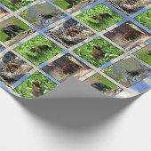 Bears Wrapping Paper Geschenkpapier (Ecke)