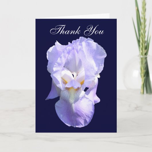 Bearted Iris ~ Karte (Vorderseite)