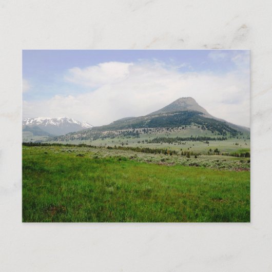 Beartooth Butte Postkarte (Vorderseite)