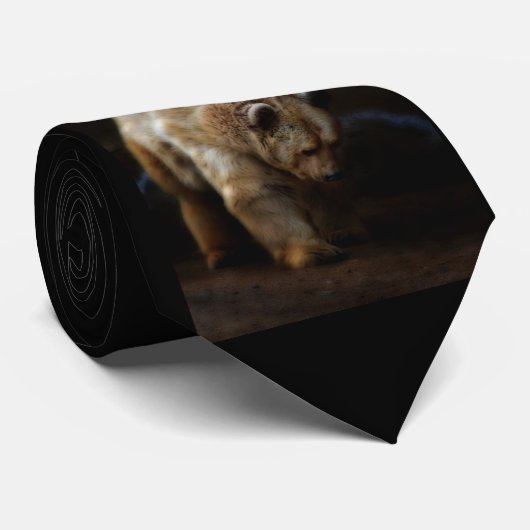 Beary Krawatte (Gerollt)