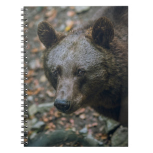 BEARY THOUGHTS NOTIZBLOCK