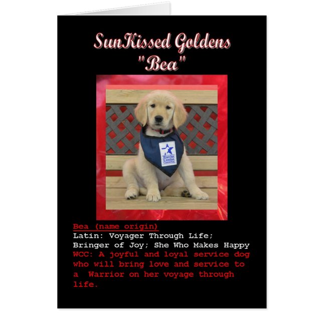 Beas Namenskarte (Vorne)