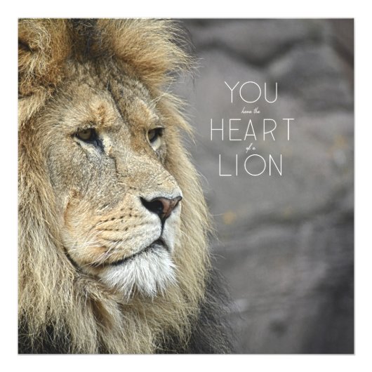 Beastly Monarch #1 (24x24) Fotodruck (Vorne)