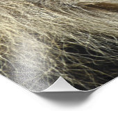 Beastly Monarch #1 (24x24) Fotodruck (Ecke)