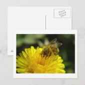 Beat Work Postcard Postkarte (Vorne/Hinten)