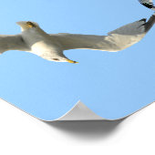 Beatituden an der fliegenden Seagull-Grenze Poster (Ecke)
