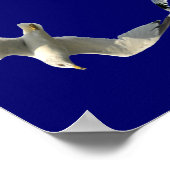 Beatituden an der fliegenden Seagull-Grenze Poster (Ecke)