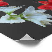 Beatituden in einem Amaryllis-Rahmen Poster (Ecke)