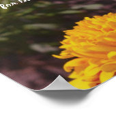 Beatitudes Poster (Ecke)