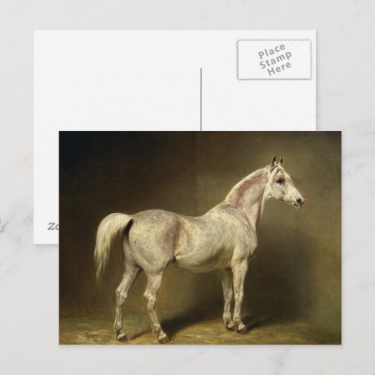 Beatrice' Postkarte (Vorne/Hinten)