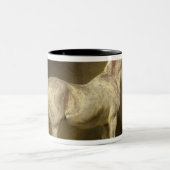 Beatrice Zweifarbige Tasse (Mittel)