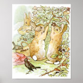 Beatrix Potter aus der Geschichte von Peter dem Ka Poster (Vorne)