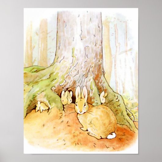 Beatrix Potter aus der Geschichte von Peter dem Ka Poster (Vorne)