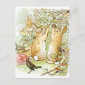 Beatrix Potter aus der Geschichte von Peter dem Ka Postkarte (Vorderseite)