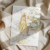Beatrix Potter aus der Geschichte von Peter dem Ka