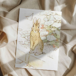 Beatrix Potter aus der Geschichte von Peter dem Ka Postkarte