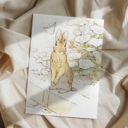 Beatrix Potter aus der Geschichte von Peter dem Ka Postkarte