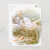 Beatrix Potter aus der Geschichte von Peter dem Ka Postkarte (Vorne/Hinten)