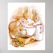Beatrix Potter aus der Geschichte von Peter Rabbit Poster (Vorne)