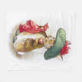 Beatrix Potter: Benjamin-Häschen Fleecedecke (Vorderseite (Horizontal))