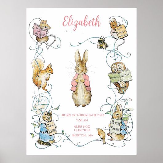 Beatrix Potter Birth Stats Kinderzimmer Art Poster (Vorne)