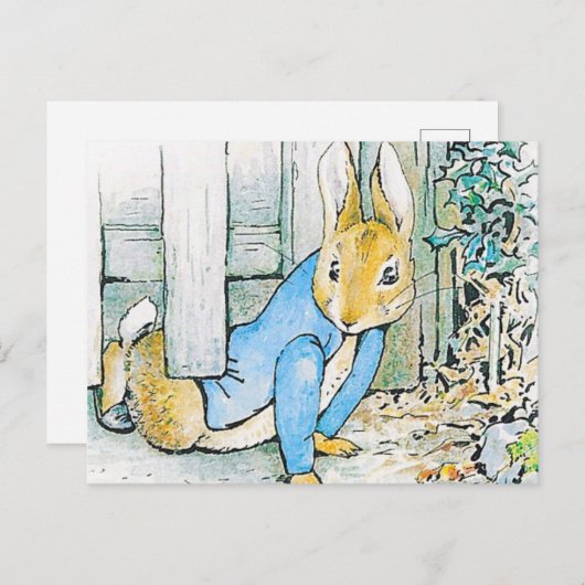 Beatrix Potter - Bunny Illustration Postkarte (Vorne/Hinten)